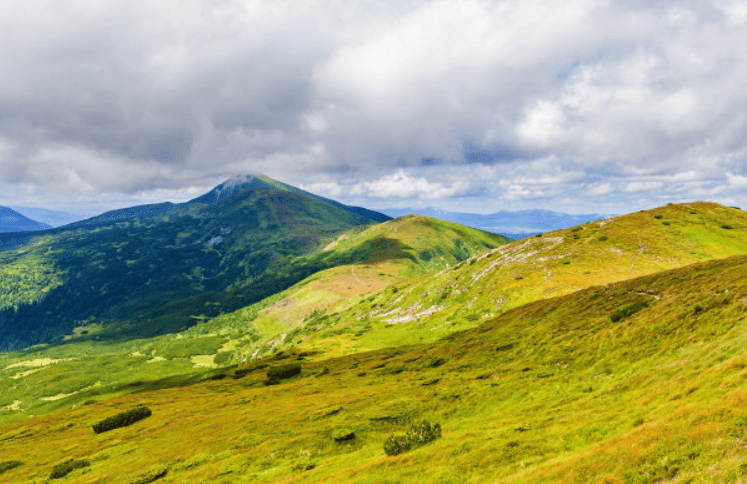 普通人和千万富翁就差做个oppo推广！
