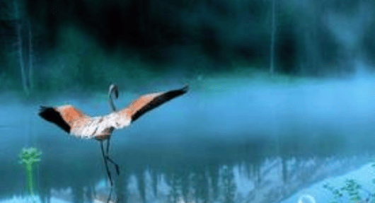 看完oppo的广告，你知道oppo广告怎么做吗？