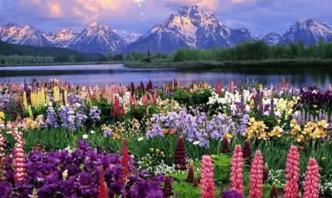 小说在oppo商店投放广告需要什么资质？