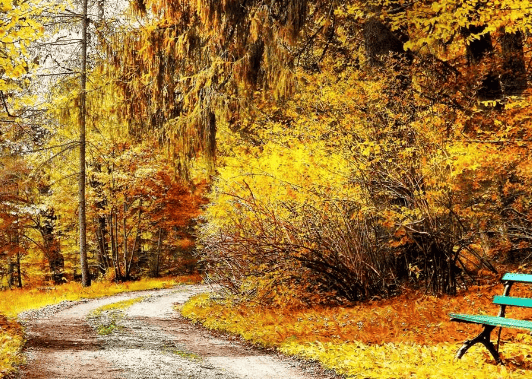 oppo广告是什么？有什么展现形式？