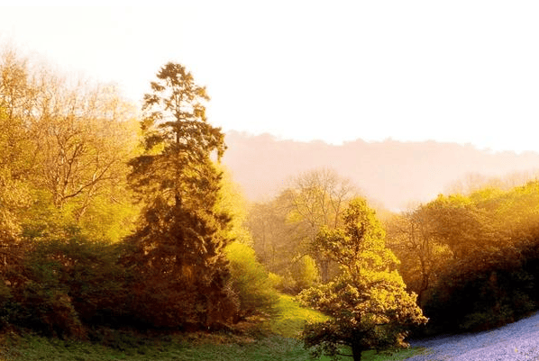 oppo广告投放打破了传统的植入式广告方式。
